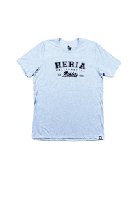 Calisthenics Athlete Grey T-Shirt 1c