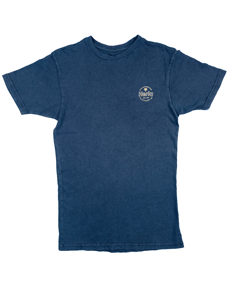 Acid Wash Navy T-Shirt (4373760966698)