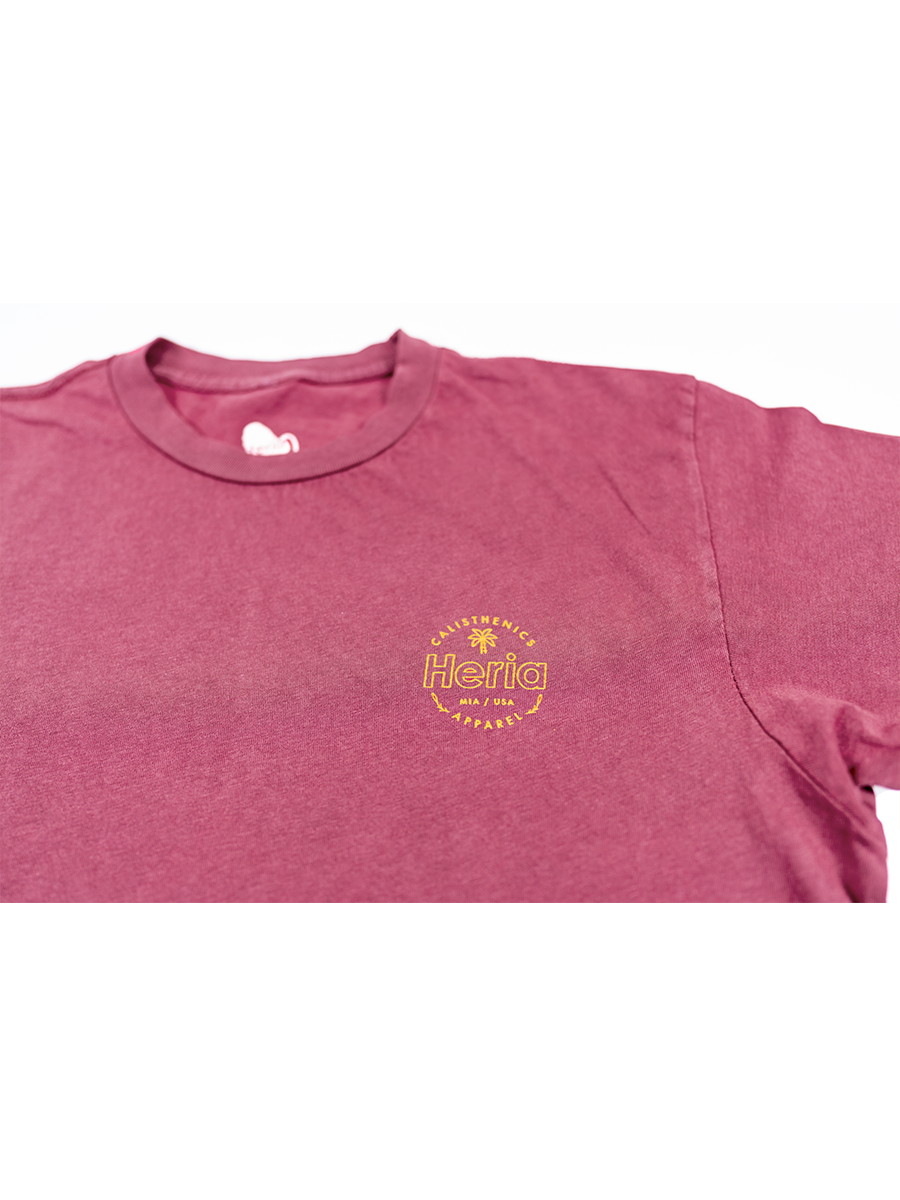 Acid Wash Red T-Shirt (4373767847978)
